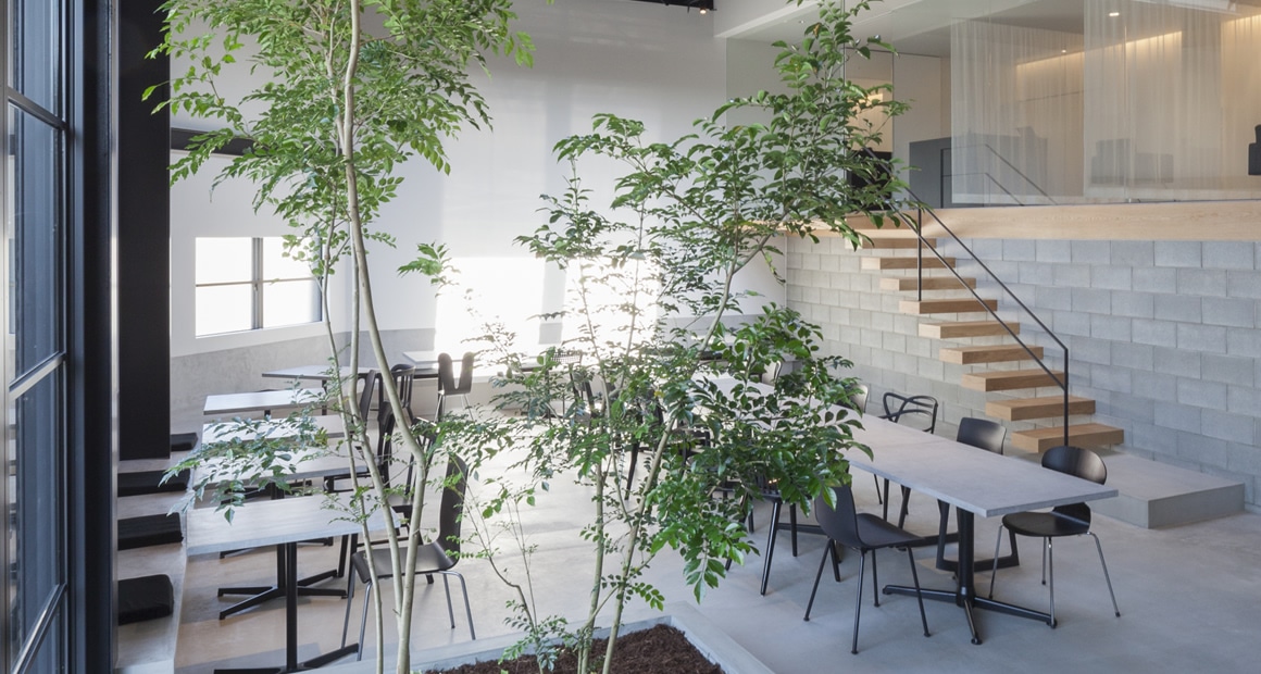 cafe_bg